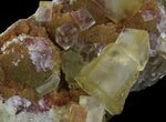 Lustrous, Yellow Cubic Fluorite Crystals - Morocco #37482-2